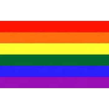 Drapeau arc-en-ciel avec oeillets