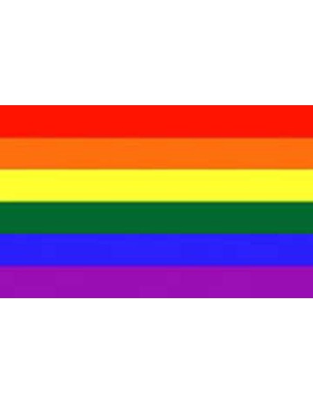 Drapeau arc-en-ciel avec oeillets