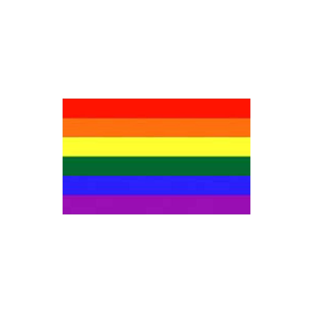 Drapeau arc-en-ciel avec oeillets