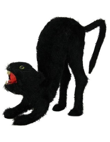 Chat noir agressif