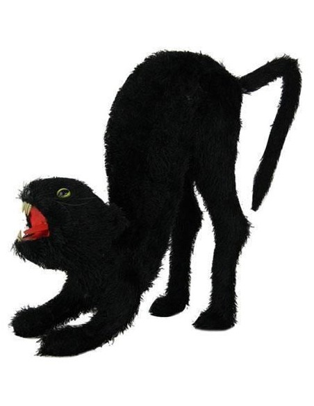 Chat noir agressif