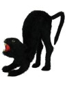 Chat noir agressif