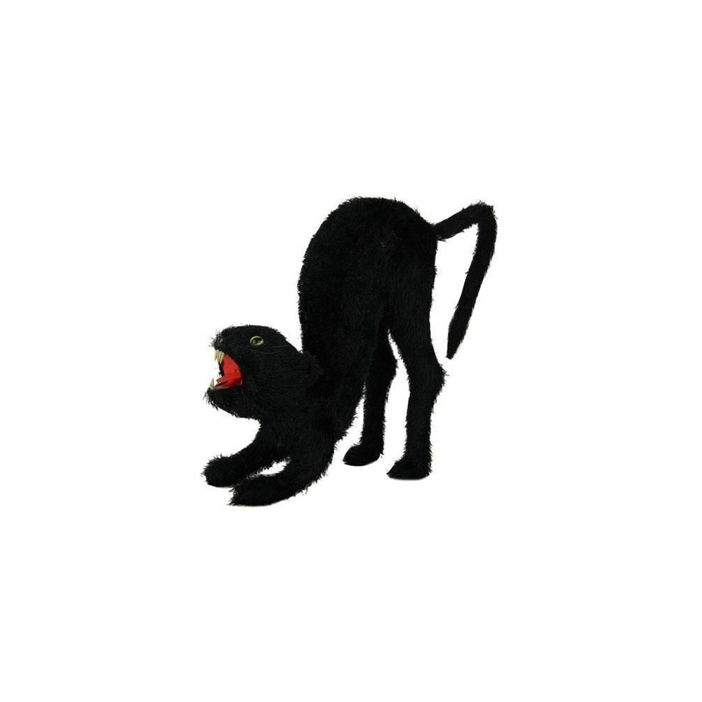 Chat noir agressif
