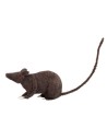 Rat gris
