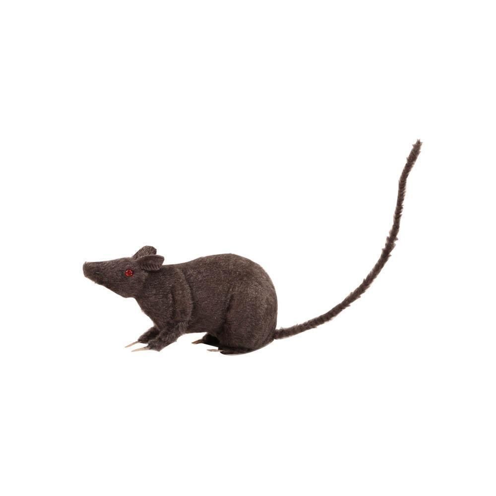 Rat gris