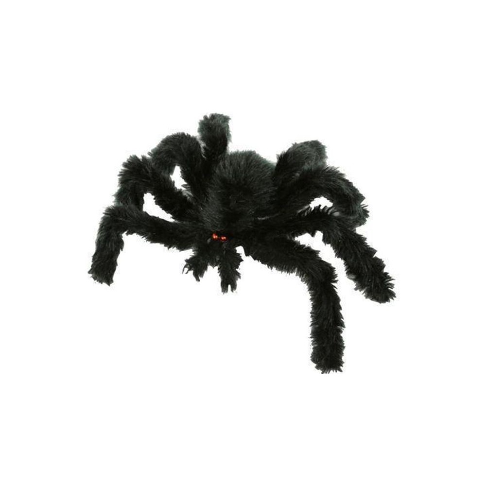 Araignée noire velue
