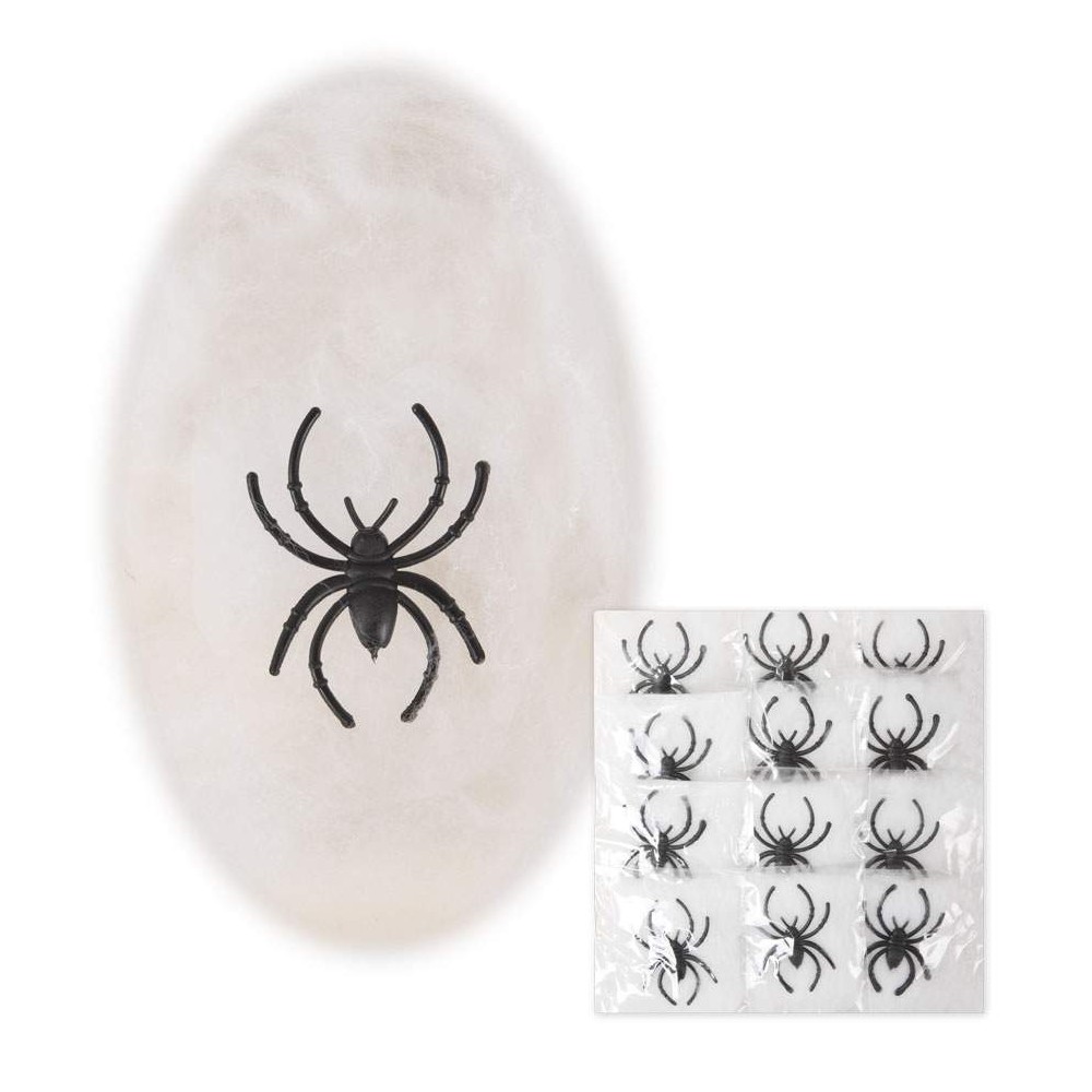 Lot de 12 petites toiles avec araignées