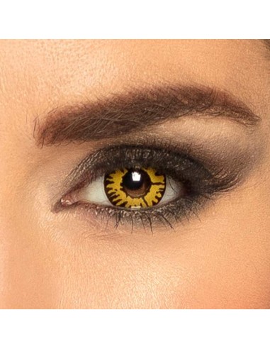 Lentilles twilight