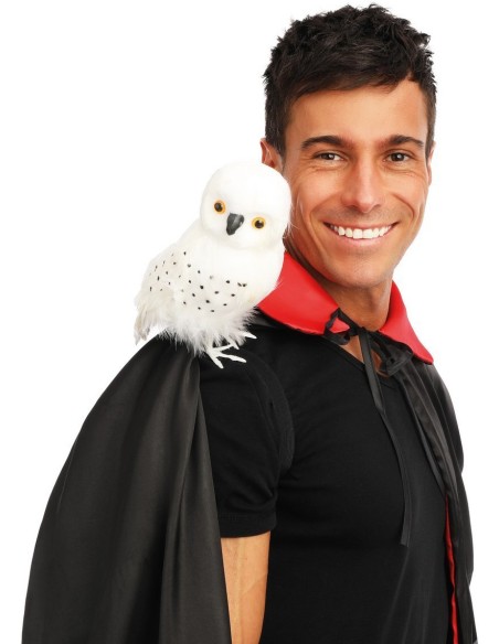 Chouette blanche de sorcier