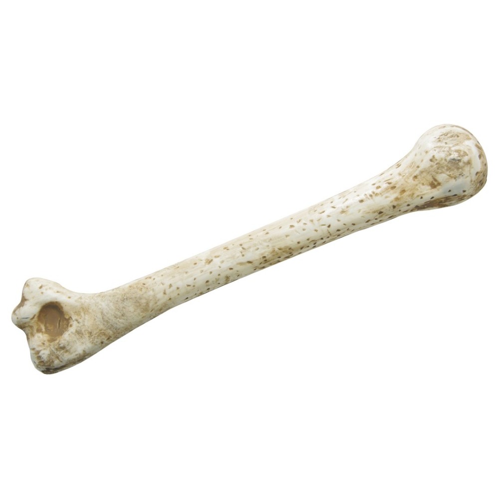 Os des cavernes 28cm