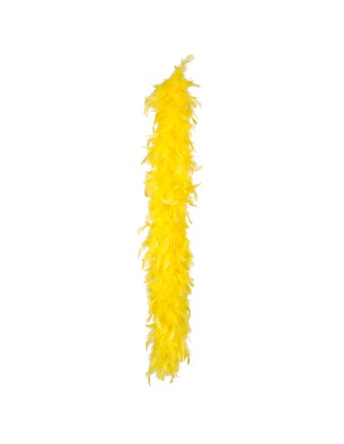 Boa à plumes pour le Carnaval de Dunkerque