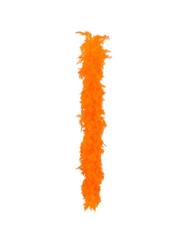 Boa à plumes pour le Carnaval de Dunkerque