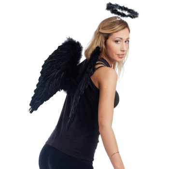 Ailes en plumes noires