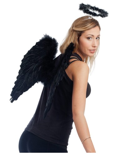 Ailes en plumes noires