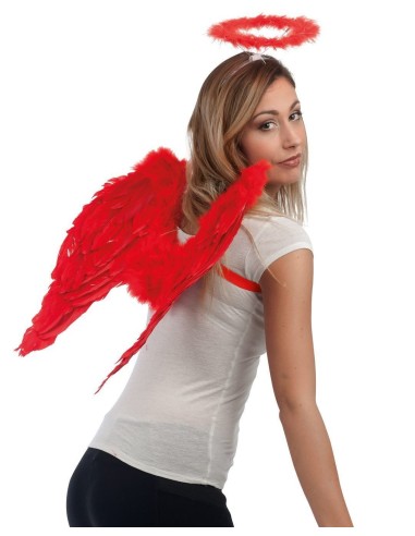 Paire d'ailes rouges en plumes
