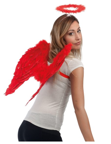 Paire d'ailes rouges en plumes