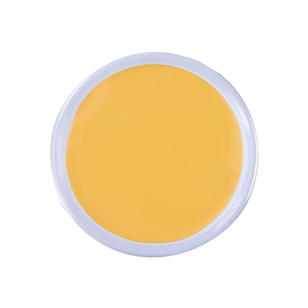 Maquillage pour faire la fête au carnaval