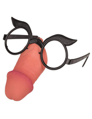 Lunettes zizi