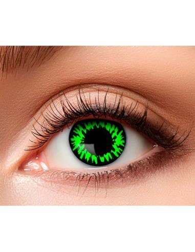 Lentilles loup vert