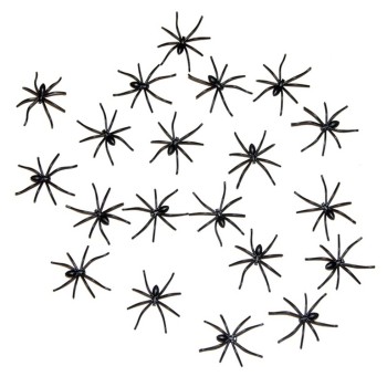 20 petites araignées noires