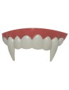Dentier de vampires avec longues canines