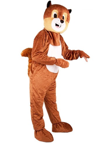 Mascotte écureuil déguisement adulte vente et location à Lille