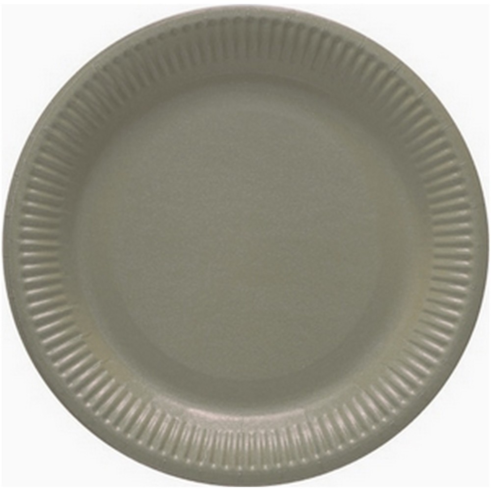 Lot de 8 assiettes colorées en carton pour banquet et réception