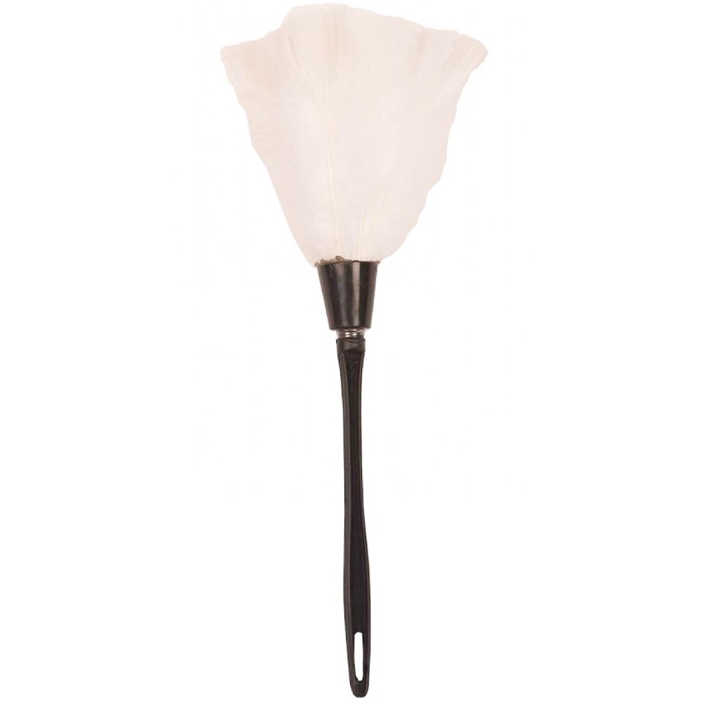 Plumeau plumes banches