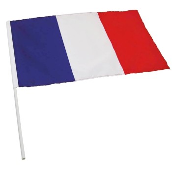 Drapeau France tricolore avec manche