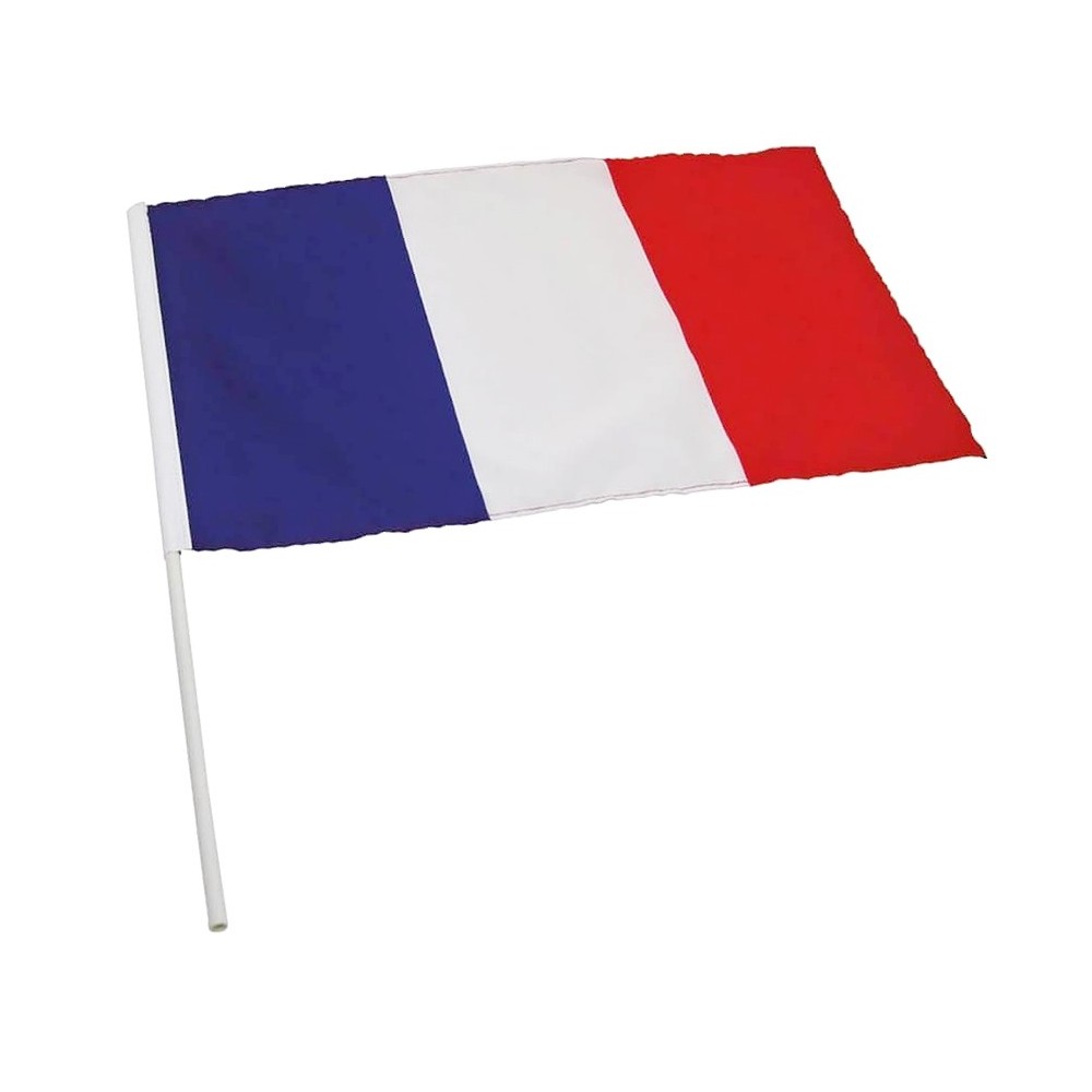 Drapeau France tricolore avec manche