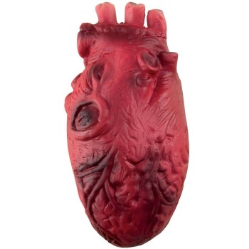 Faux coeur sanglant réaliste