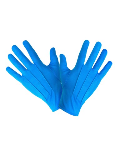 Paire de gants bleus