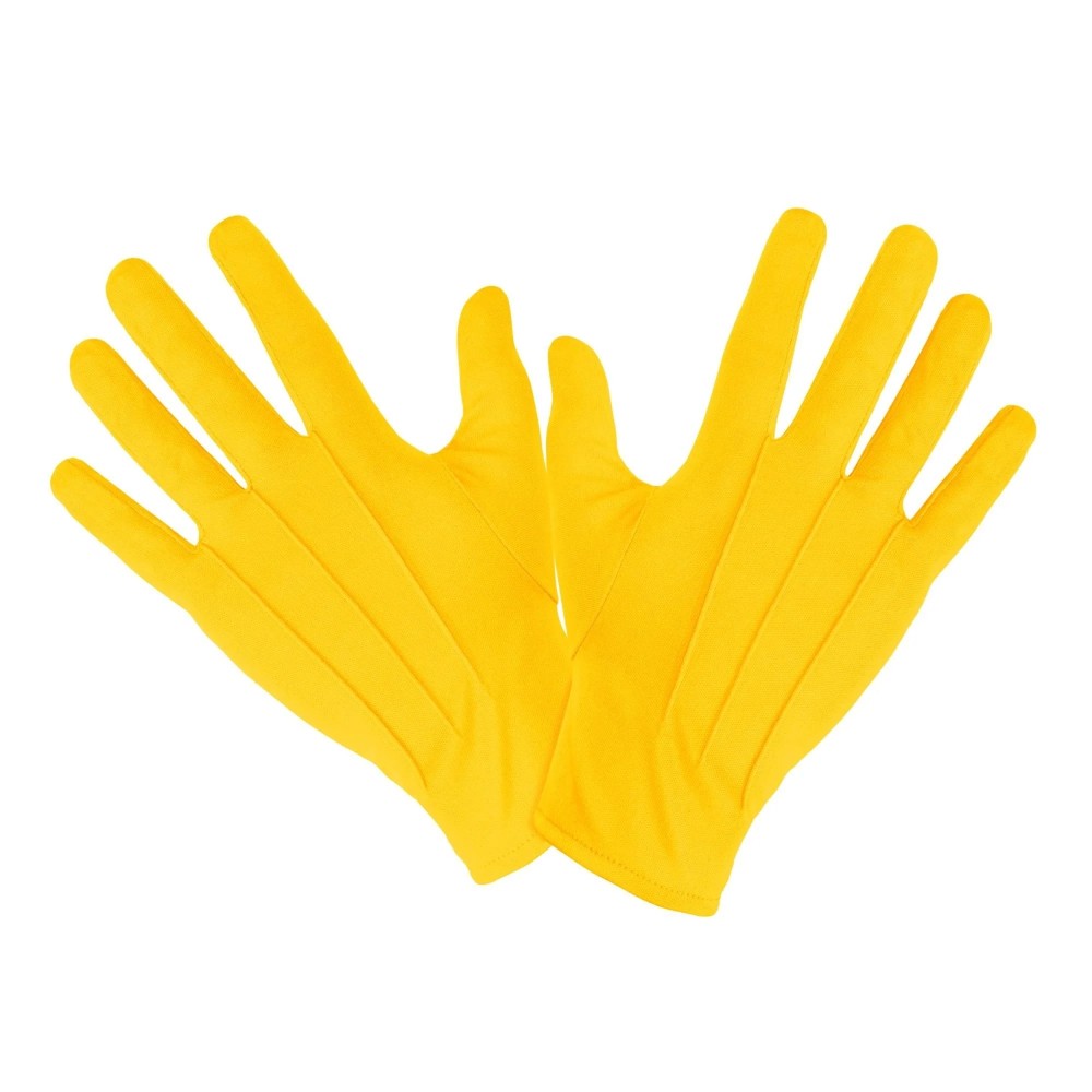 Paire de gants bleus