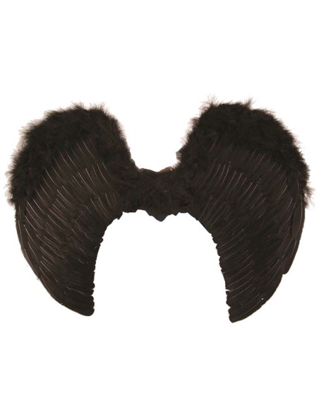 Grandes ailes noires d'ange