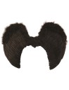 Grandes ailes noires d'ange