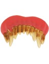 Dentier de vampire réaliste avec dents pointus