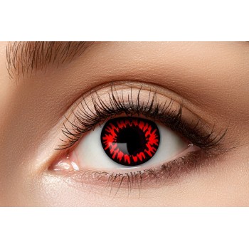 Lentilles red wolf