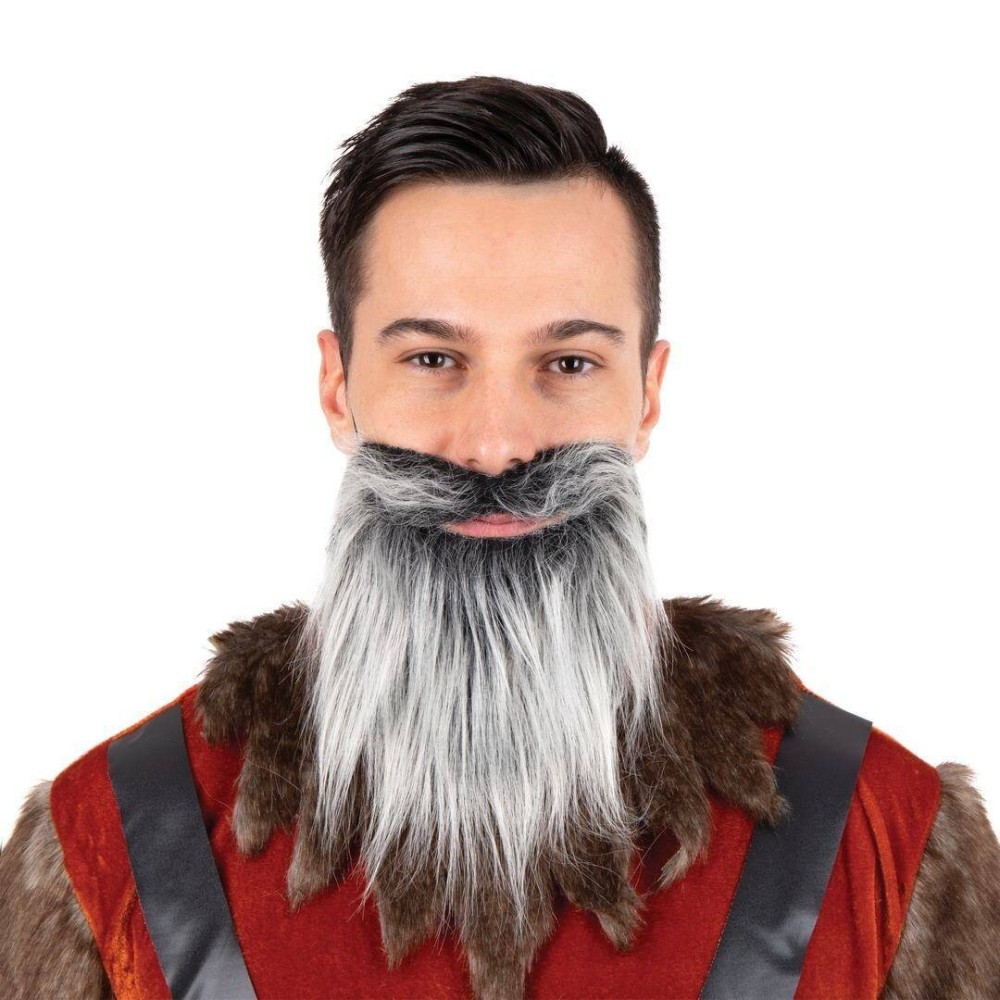 Moustache et barbe raide grise