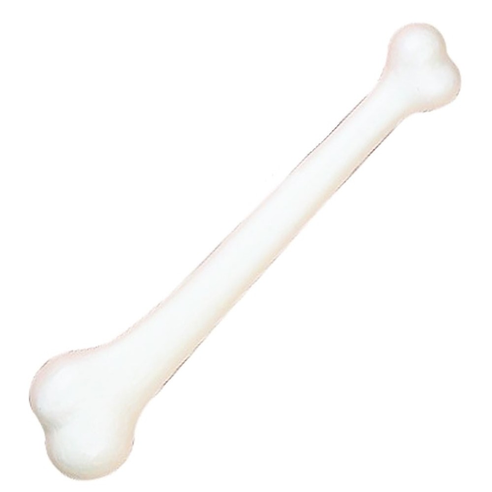 Os blanc géant préhistorique
