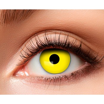 Lentilles yeux de corbeau jaune à Lille