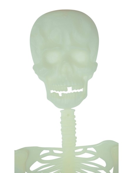 Suspension squelette articulé phosphorescent