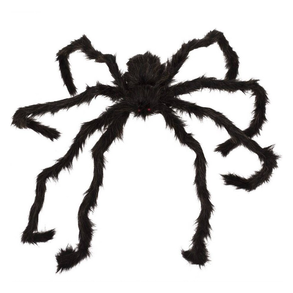 Araignée géante noire marron