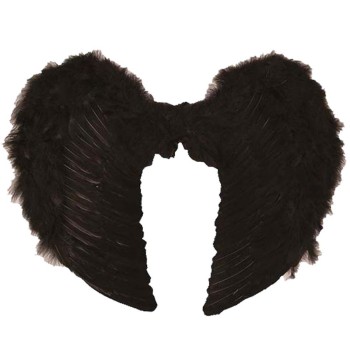 Grandes ailes plumes noires