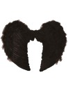 Grandes ailes plumes noires