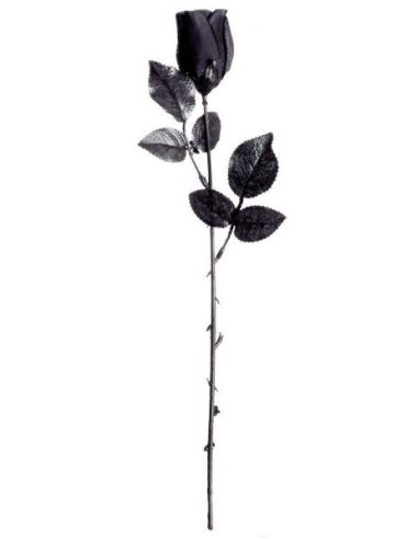 Rose noire halloween pas cher