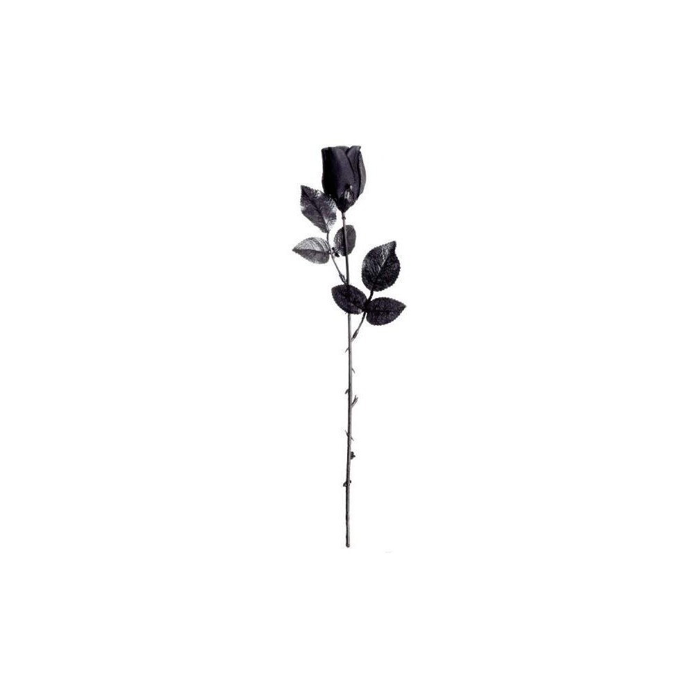 Rose noire halloween pas cher
